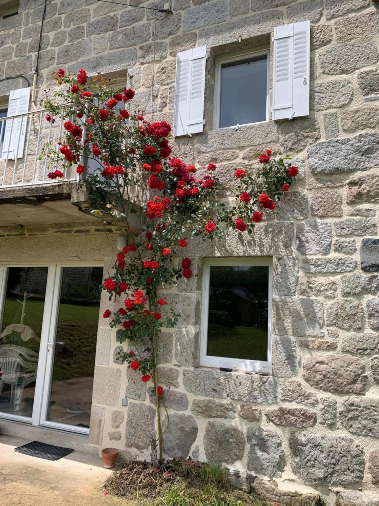 Villa Ferme Au Calme A 15Mn Du Chambon Sur Lignon Saint-Jeures Esterno foto